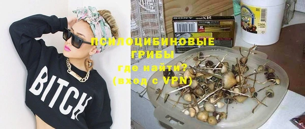 винт Арсеньев