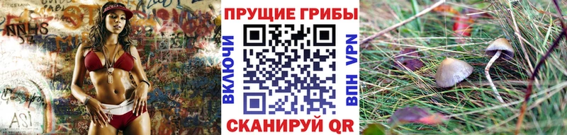 Галлюциногенные грибы Psilocybine cubensis  Артёмовский 